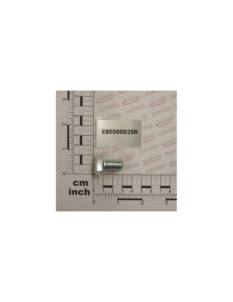 SCREW M 12X20