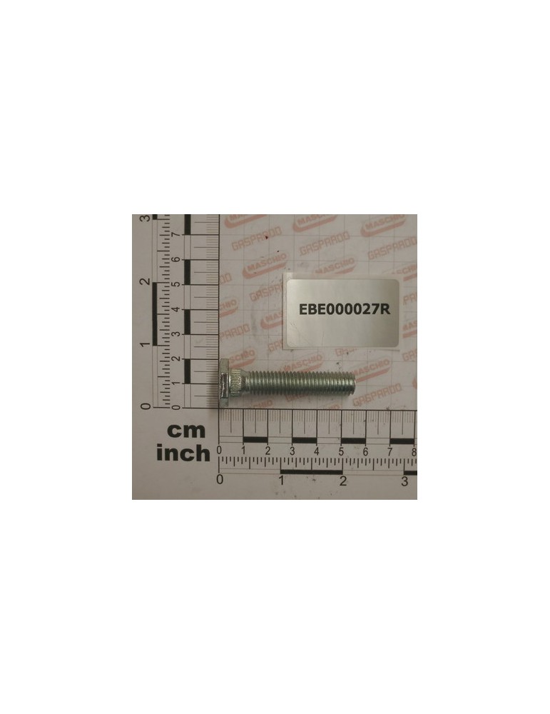 BOLT ZIGR. 10X50