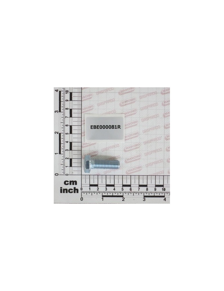 SCREW TSPEI 12X35