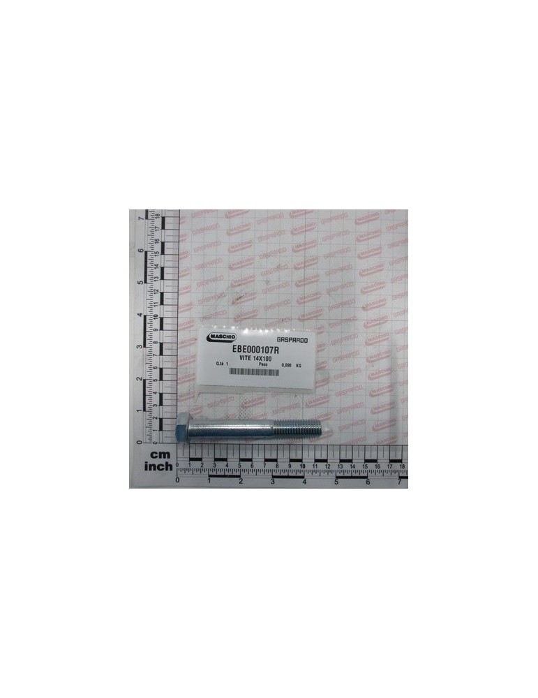 SCREW 14X100