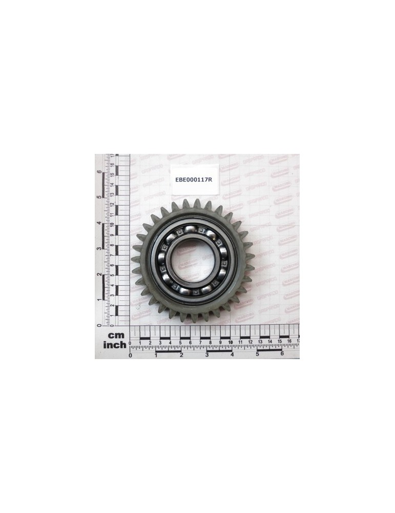 GEAR Z 31 (1006)