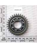 GEAR Z 31 (1006)