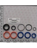 OIL SEAL KIT D.50
