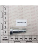 PIN BALANCE
