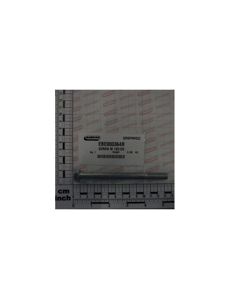 SCREW M 10X120