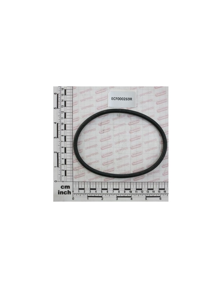 OR GASKET 126,4X7 316000.050