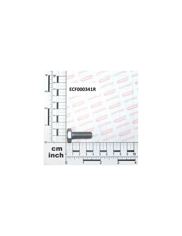 SCREW T.E. 8.8 GEOMET M10X30
