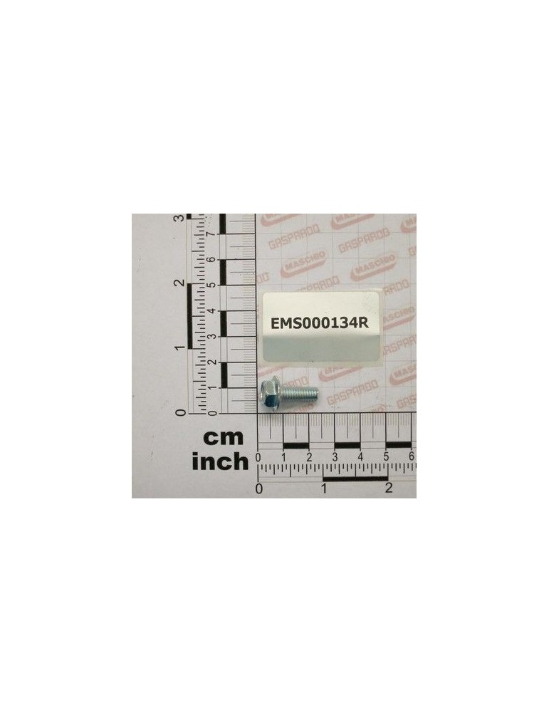 Maschio Gaspardo SURUB TE M 6X 16 8.8 6921 EMS000134R