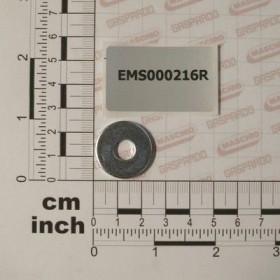 Maschio Gaspardo RONDELLA PIANA M 8- 9 X24X2 EMS000216R