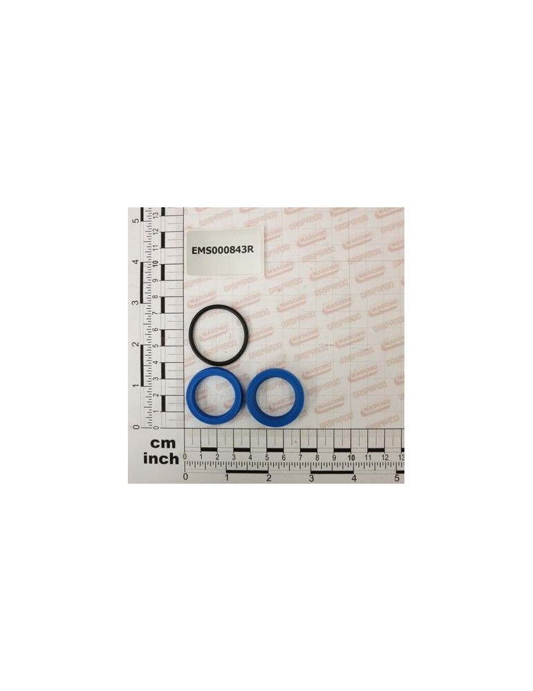 Maschio Gaspardo KIT GUARNIZIONI X CIL. 5400610 EMS000843R