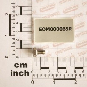 Maschio Gaspardo SURUB 6X10 INOX UNI5739 DIN933 EOM000065R