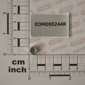 Maschio Gaspardo PIULITA M6 INOX UNI7474 EOM000244R