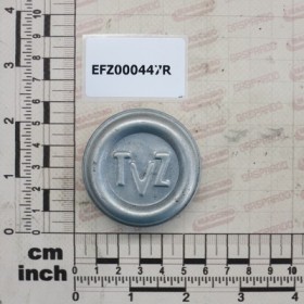 HUB CAP