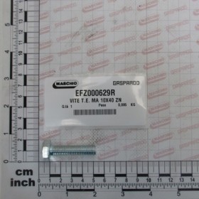SCREW T.E. MA 10X40 ZN