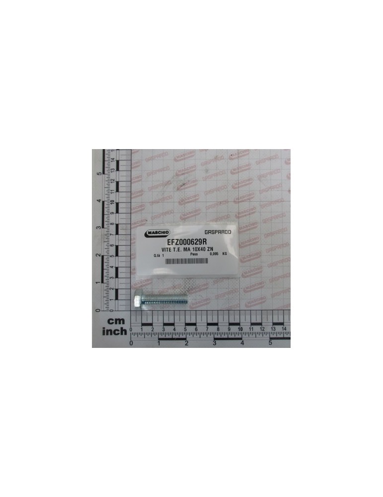 SCREW T.E. MA 10X40 ZN