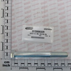 SCREW T.E. MA 16X150 ZN