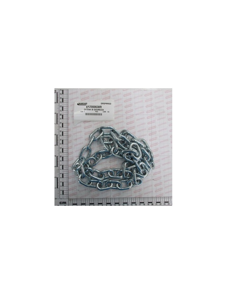 SECURITY CHAIN