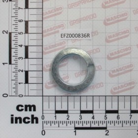SPRING WASHER