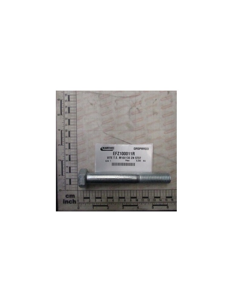 SCREW T.E M18X130 ZN 5737