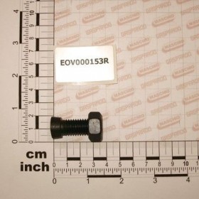 Maschio Gaspardo Surub 12x36 EOV000153R