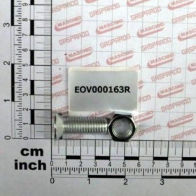 Maschio Gaspardo VITE+DADO 2NIBS934 12 35 8.8 Z EOV000163R