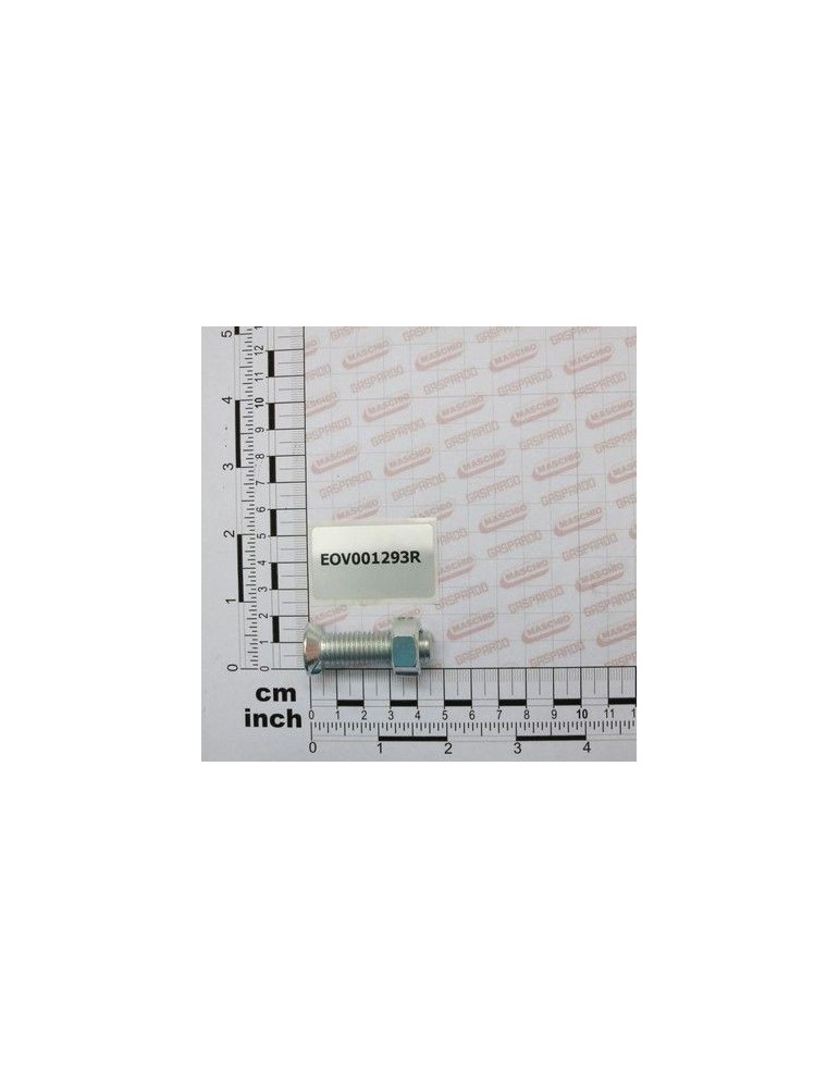 Maschio Gaspardo VITE+DADO 934 12 45 8.8 ZINC EOV001293R