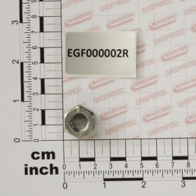 NUT M12