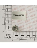 NUT M12