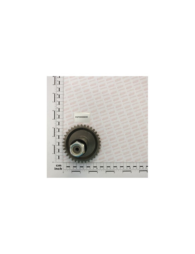 GEAR ROTOR Z34