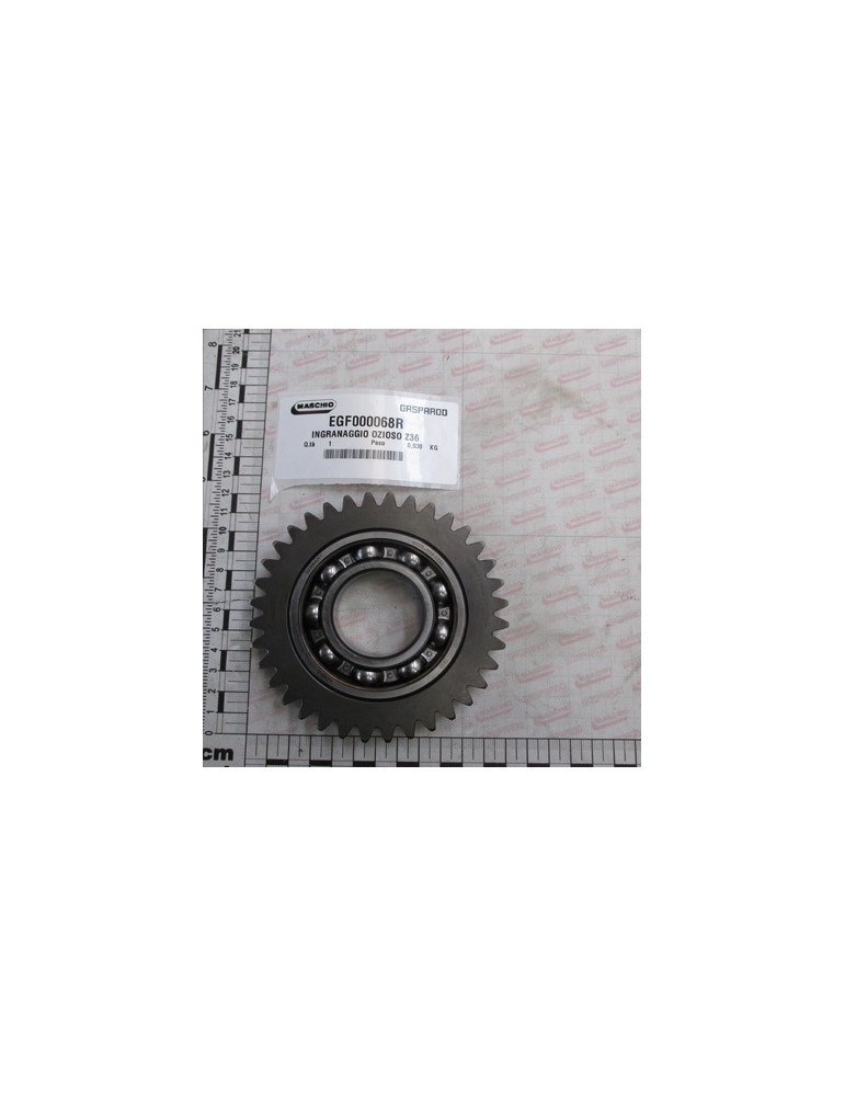 GEAR Z36