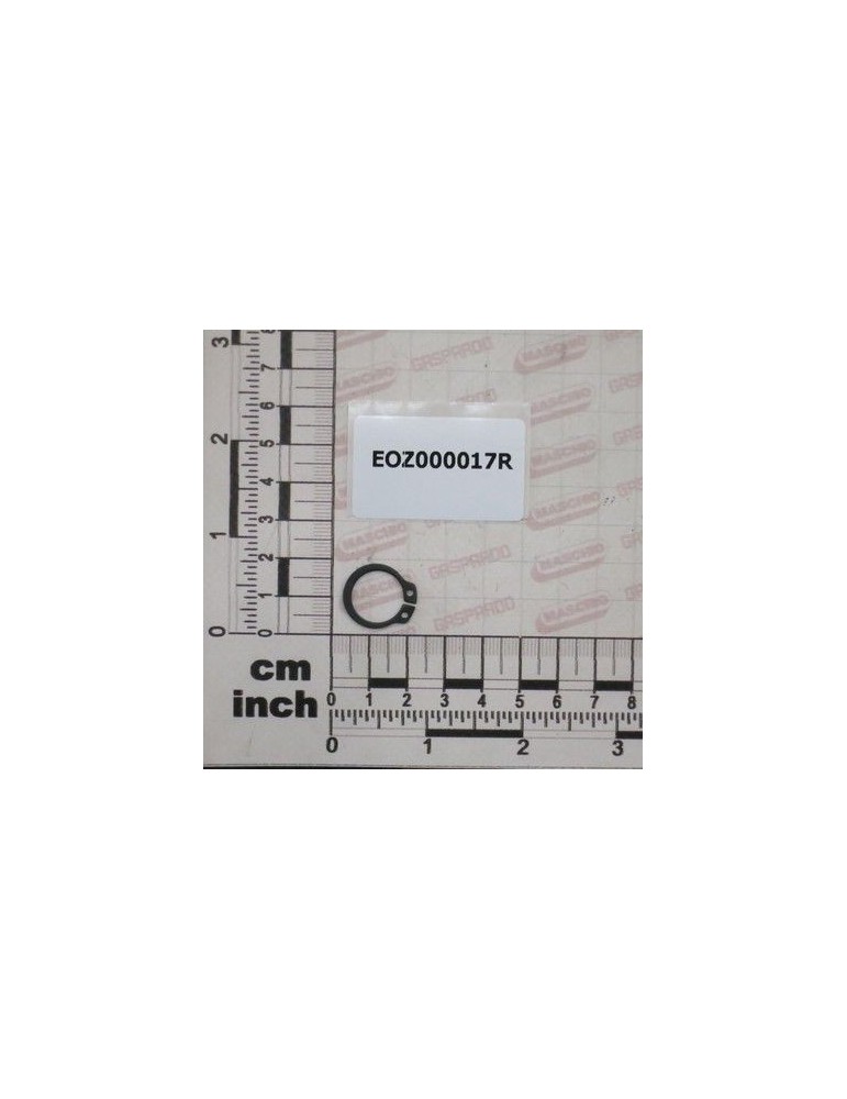 Maschio Gaspardo ANELLO ESTERNO 471-15 EOZ000017R