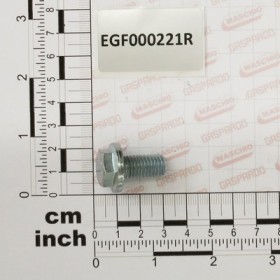 BOLT W/ WASHER M10X21