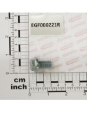 BOLT W/ WASHER M10X21