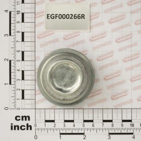 HUBCOVER CAP