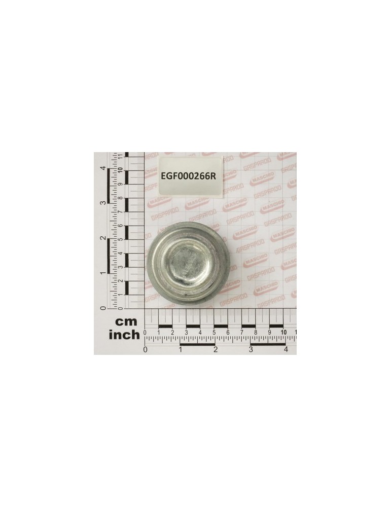 HUBCOVER CAP