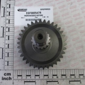 GEAR ROTOR