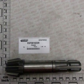 PINION
