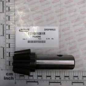 PINION