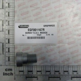 SCREW T.C.E.I. M20X30