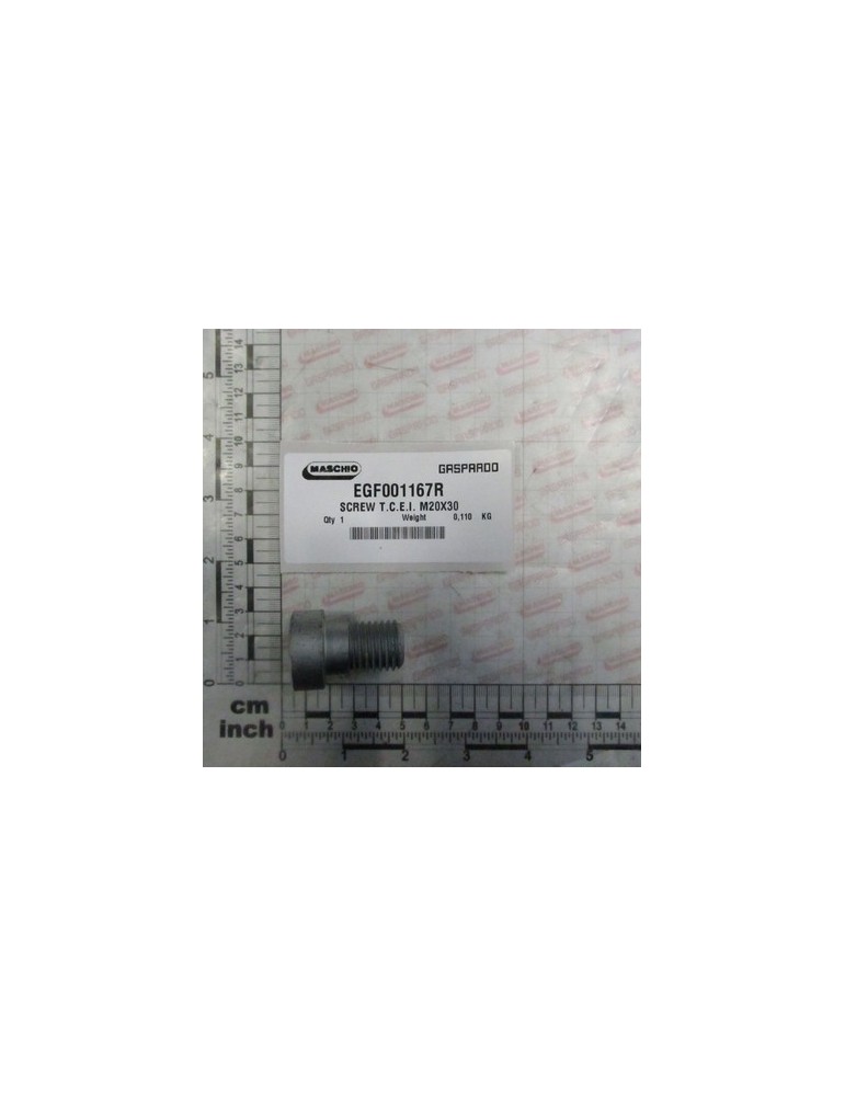 SCREW T.C.E.I. M20X30