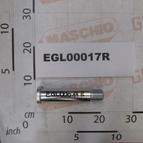 PIN D. 40X181