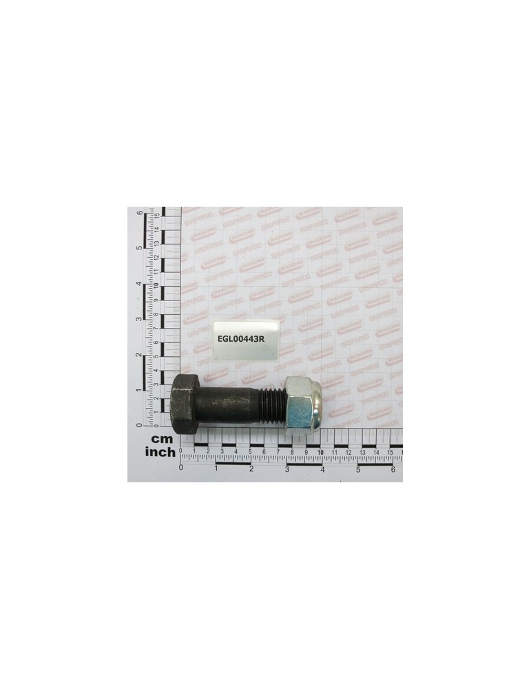 BOLT + NUT TYPE 7