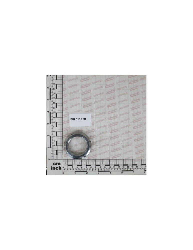 FERRULE