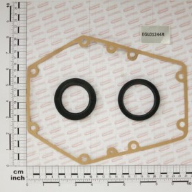 OIL SEAL KIT