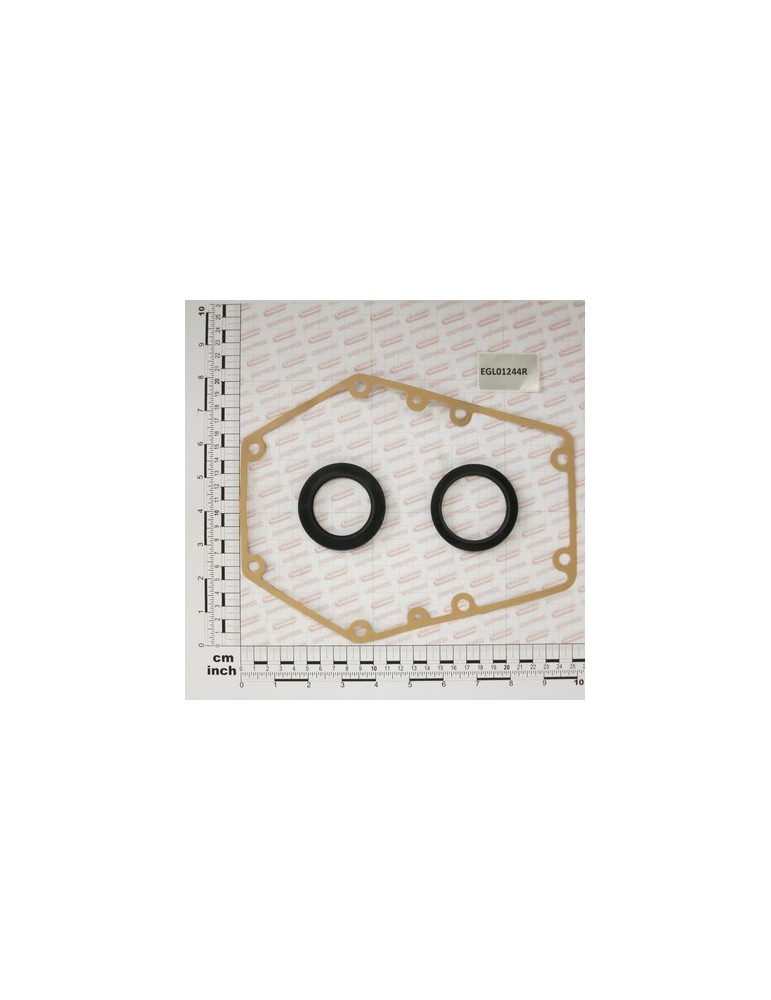 OIL SEAL KIT