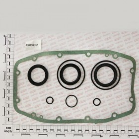 OIL SEAL KIT