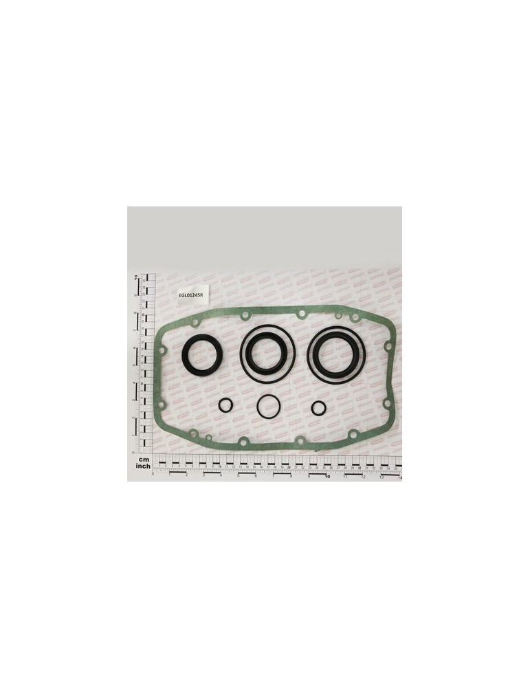 OIL SEAL KIT
