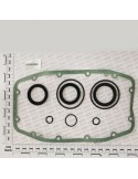 OIL SEAL KIT