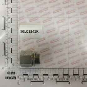 EXTENSION M1/2 BSP S22X1,5H-30
