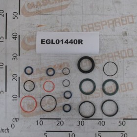 SEAL OIL KIT DICHTUNGSSATZ